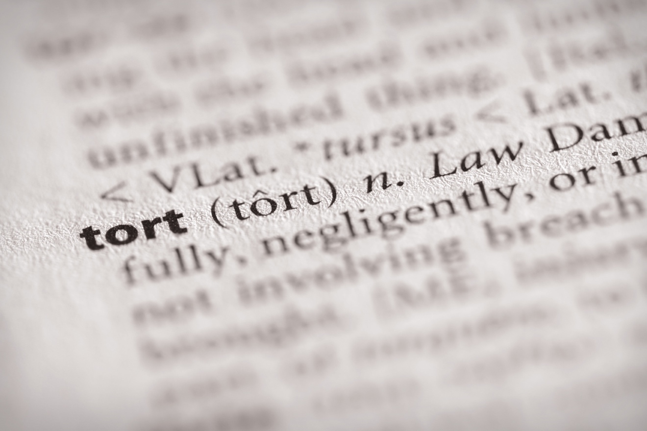 Tort Law in Canada Explained (With Examples)