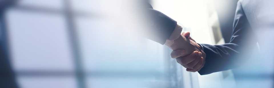 partners greeting with handshake to seal the deal