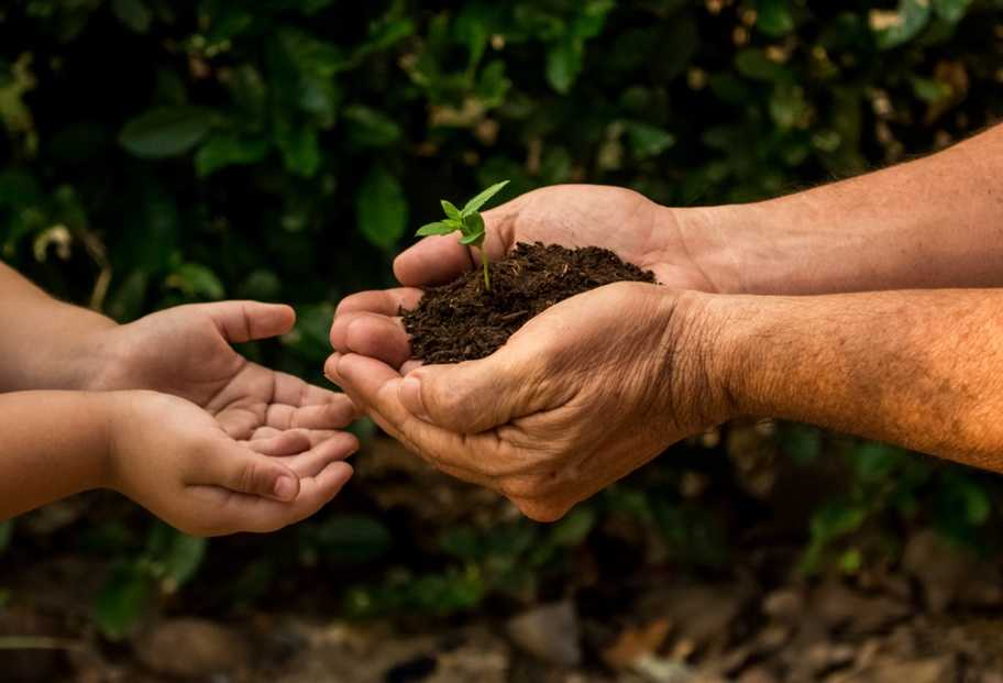 family benefit testament will ontario